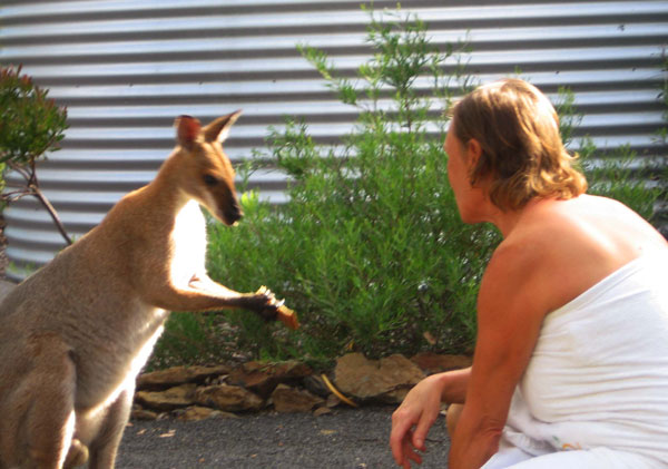 Connie on Healing treat in Boonah, feeding wallabies. conniehansen.com