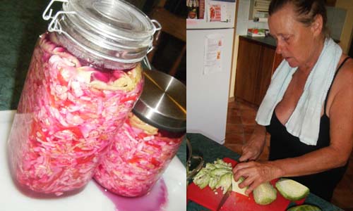 Connies Health, Probiotic Cabbage